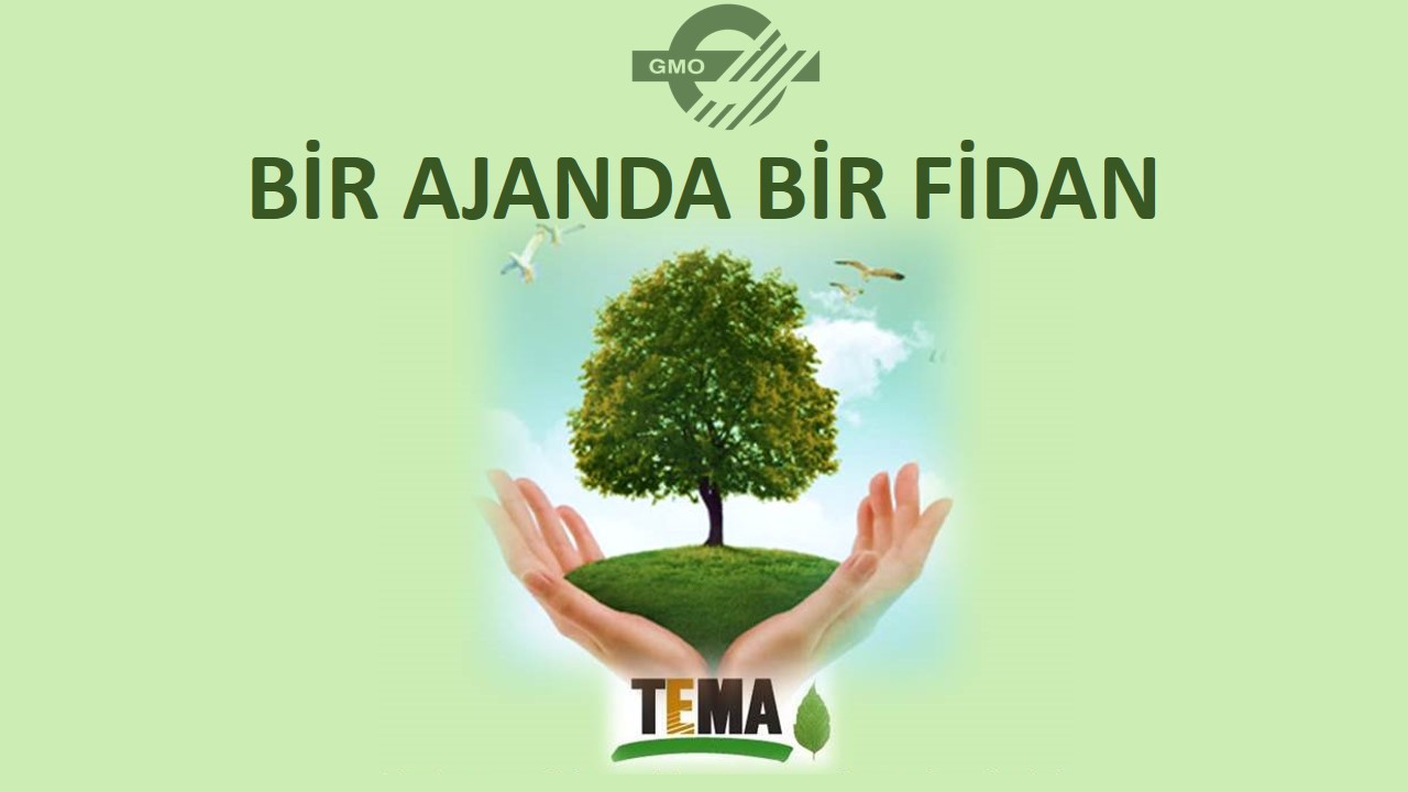 BİR AJANDA BİR FİDAN